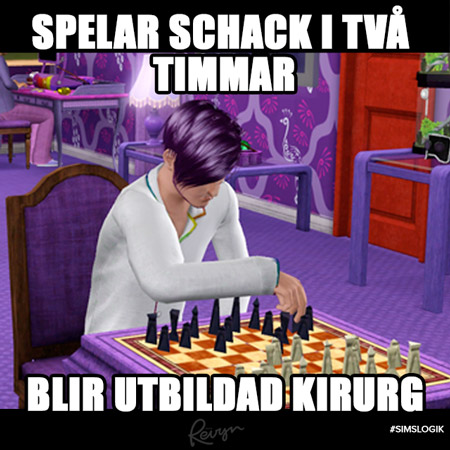 The Sims Logik